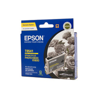 Epson T0541 Photo Black Ink Cartridge
