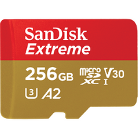 SanDisk Extreme microSDXC UHS-1 256GB