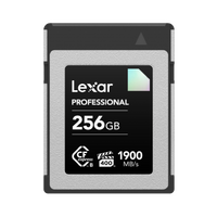 Lexar Professional CFexpress Type B Diamond 256GB
