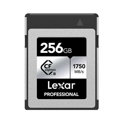 Lexar Professional CFexpress Type B Silver - 256GB